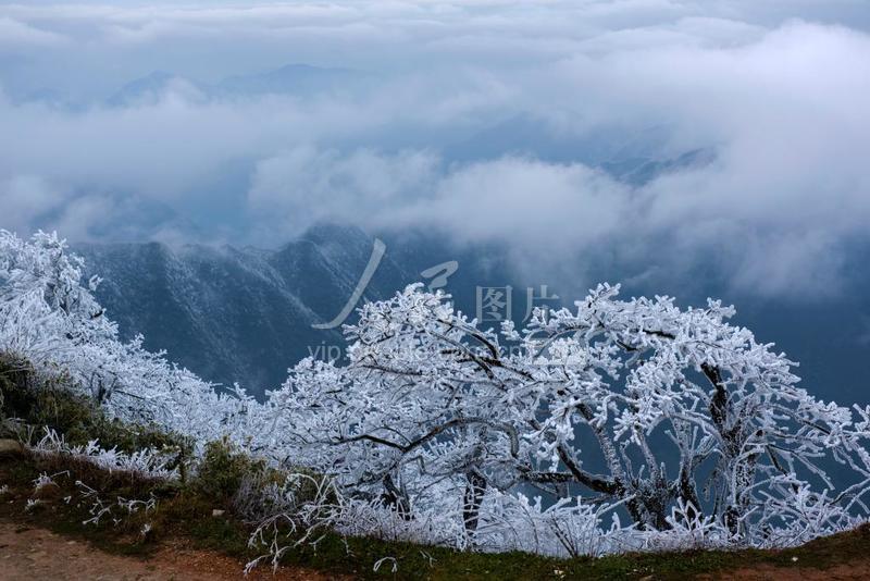 湖南新化:大熊山现雾凇美景 银装素裹美不胜收