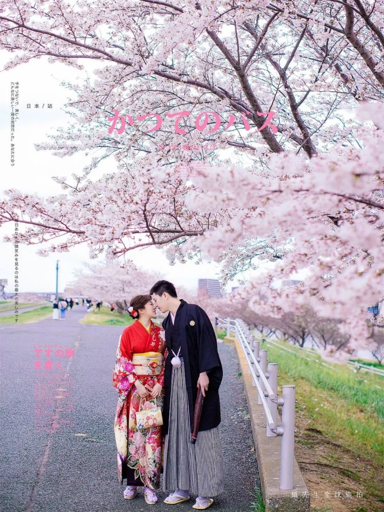 樱花树婚纱照_樱花树下的婚纱照