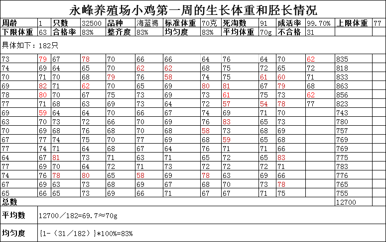 雏鸡真实测量数据: 10月11日,永峰养殖场内的32500只海兰褐鸡用了六吨