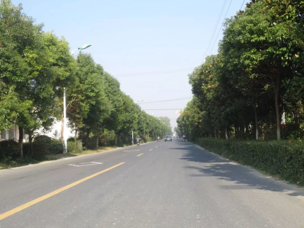 封丘这3个村被"点名"!喜获省级森林乡村公示!看看有你村吗?