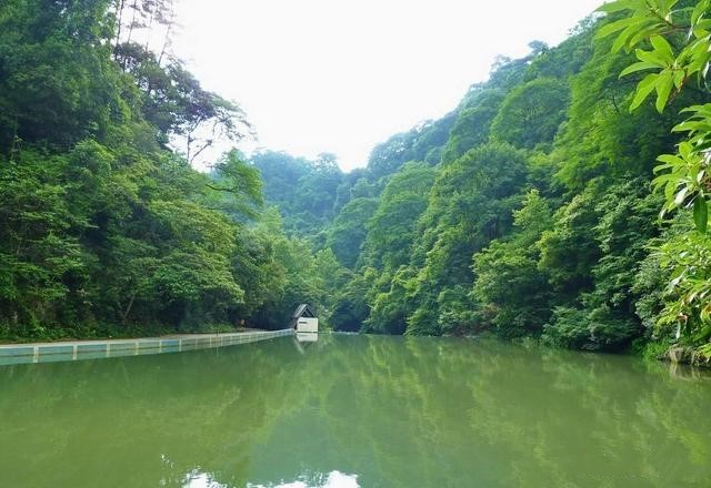 广西凤山县经济总量_广西凤山县旅游区图片(3)