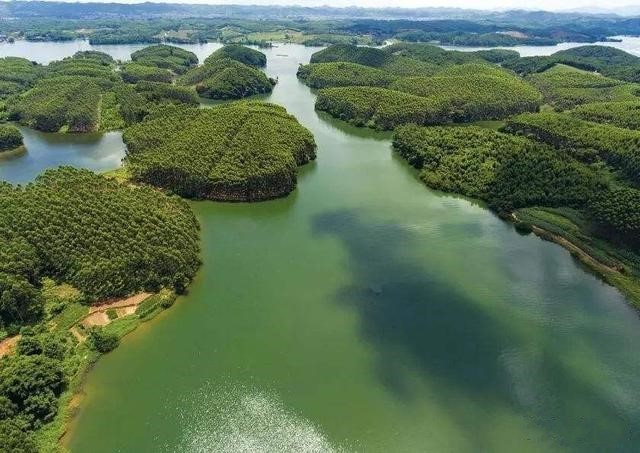 广西凤山县经济总量_广西凤山县旅游区图片(2)