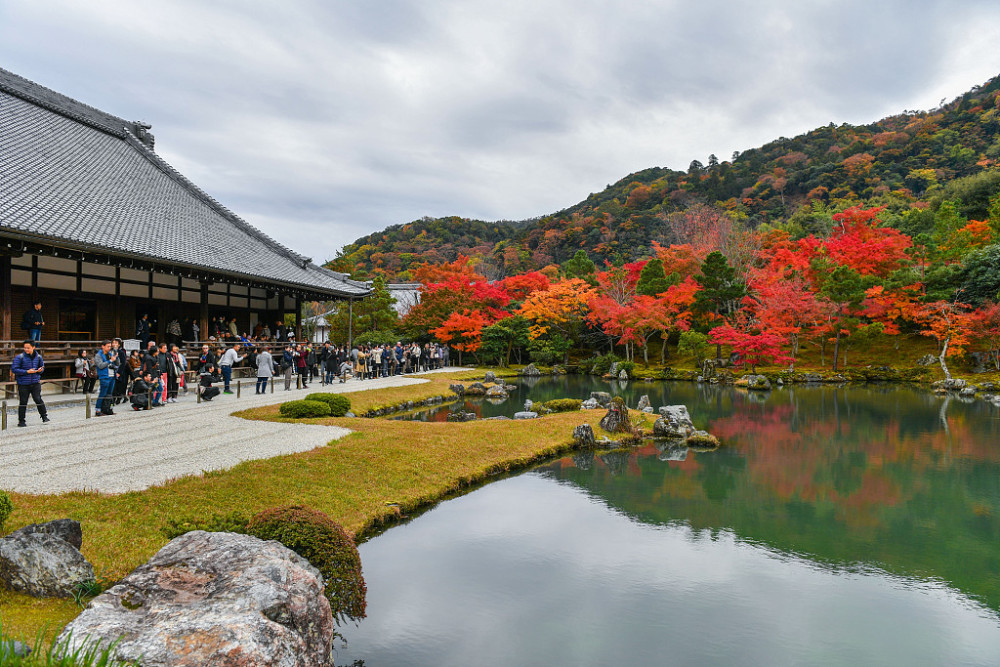 日本京都:世界遗产天龙寺秋景迷人
