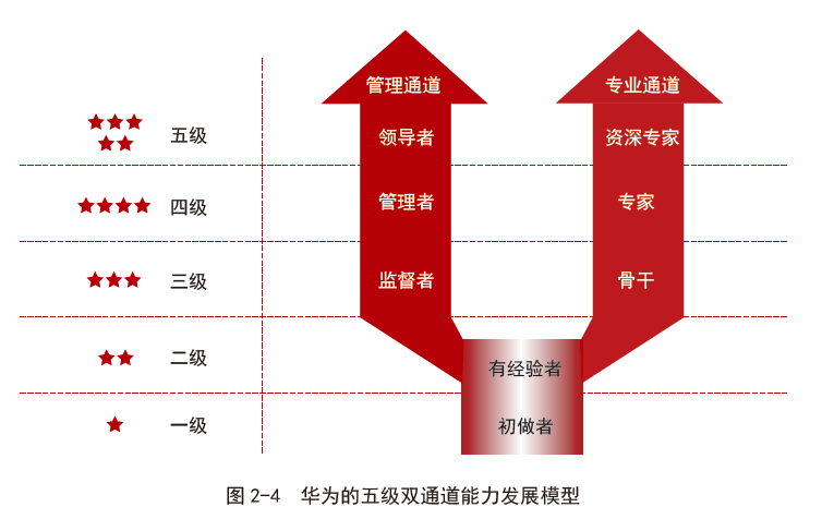 在五级双通道发展模型中,每个员工至少拥有两条职业发展通道.