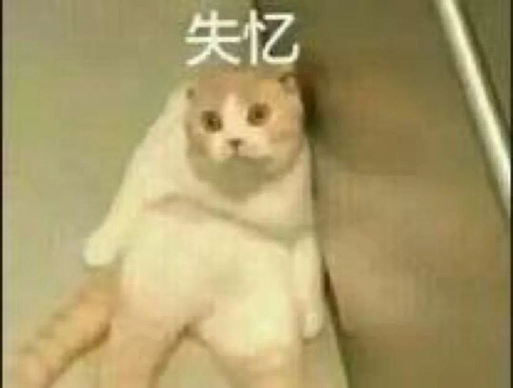 表情包vol.16-失忆