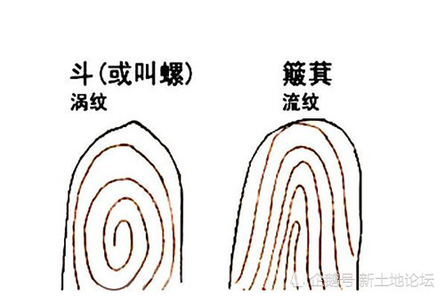 俗语十指簸箕没有斗只往外簸没处装你手上有几个斗