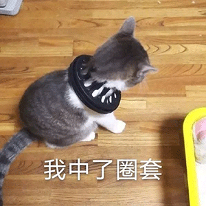 表情包:难搞哦怎么了,我又怎么了你