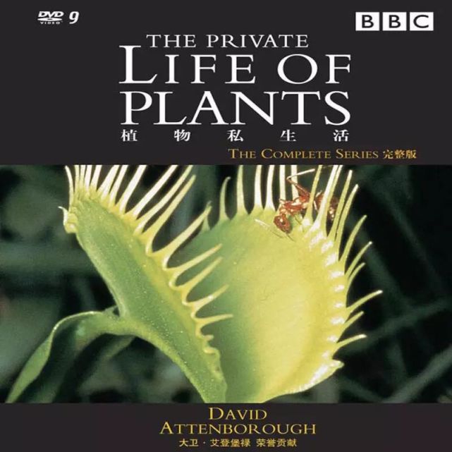 bbc纪录片植物私生活第三集