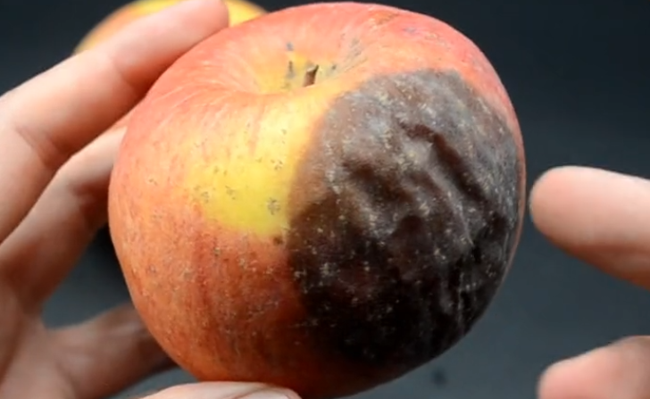 苹果烂了一小块把它削掉以后剩下部分到底能不能吃看完涨知识了