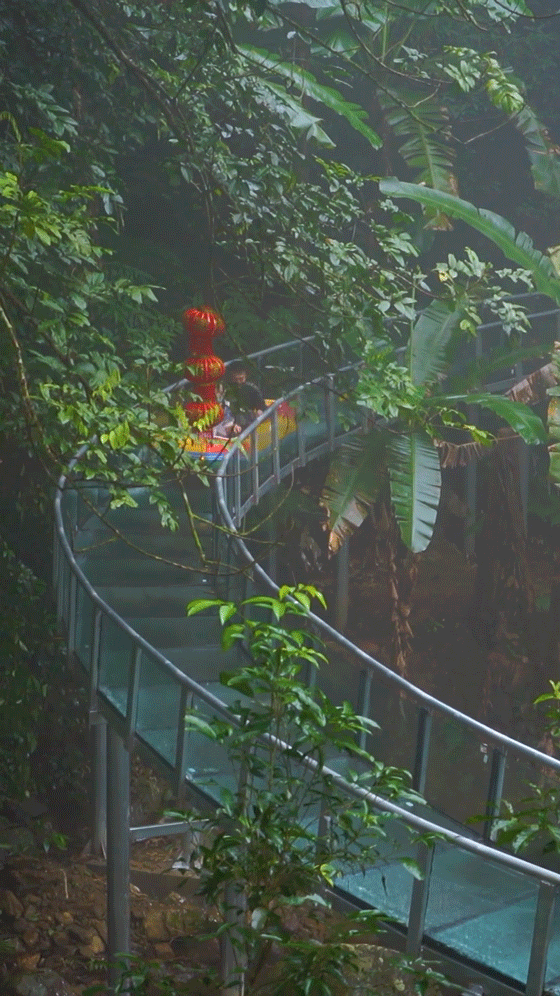 疫情过后,百花岭邀您热带雨林吸吸氧!高空漂流爽一爽!