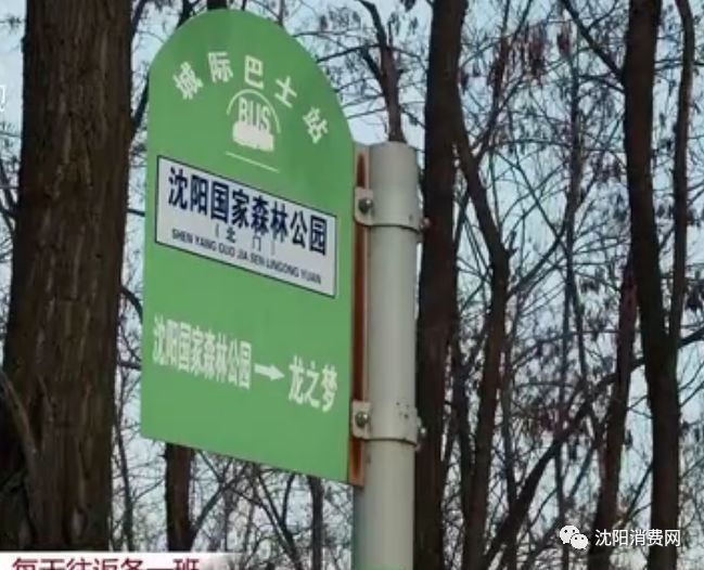 最近,沈阳的公交车线路向滑雪场伸出了友善的小手,位于沈阳国家森林