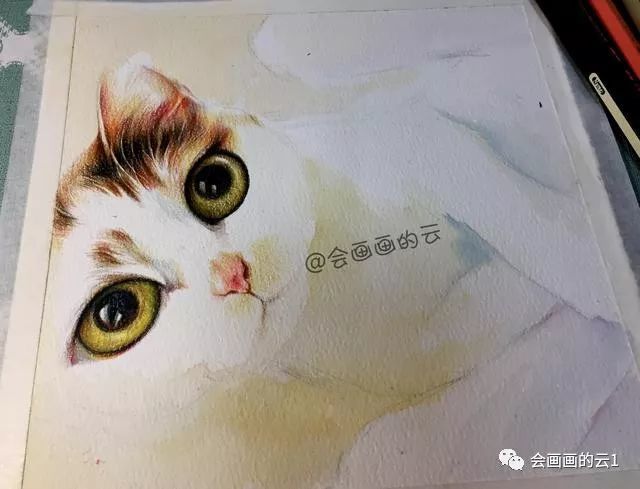 彩铅画起来很简单,教你如何画一只慵懒的猫咪,太可爱啦