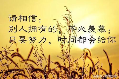 感悟人生哲理正能量 人生感悟的经典语录