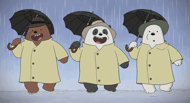 答案就在美国动画片《we bare bears》里.