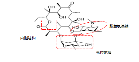 打开腾讯                     大环内酯类家族药物 红霉素为第一个