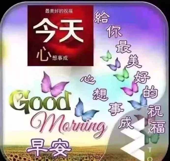 168社区早上好最新图片,2社区早上好图片 4月23日星期四群发早上好图片以及关心在话 暖春周四