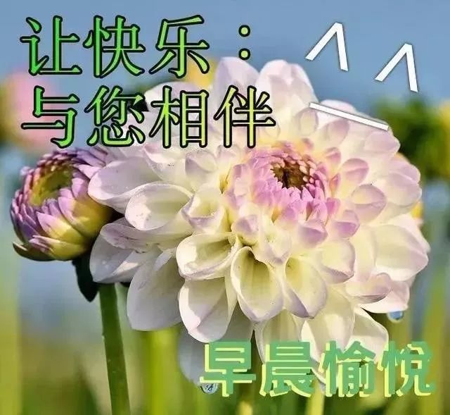 4月23日星期四群发早上好图片以及关心在话 暖春周四快乐早上好图片