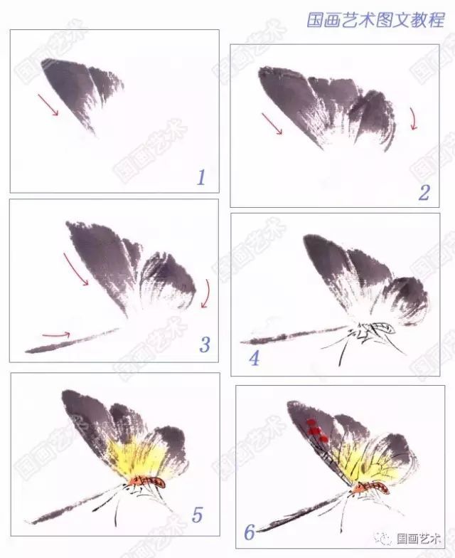 图文教程:一学就会画写意蝴蝶