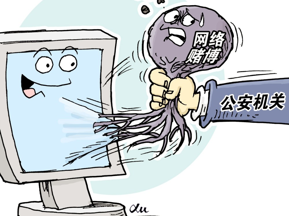 指挥福建省公安厅会同厦门市公安局在柬埔寨和国内多地开展收网行动