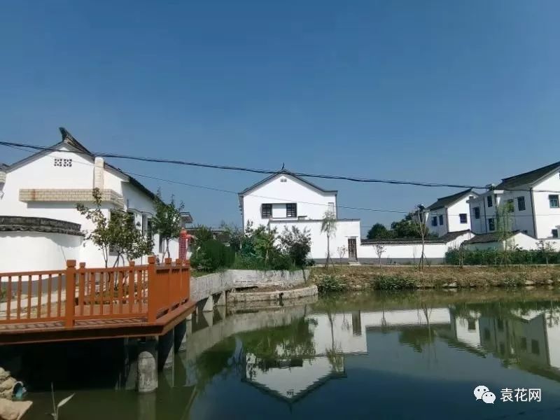 【太惊艳了!】海宁袁花独有的花溪侠影风景线亮相啦!