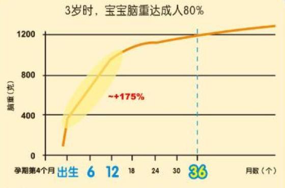 孩子3岁前,抓住大脑发育的5大规律,孩子将来更聪明