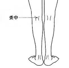 5 委中穴 委中曲腘里,动脉偃中央.