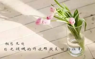 抖音里的人生感悟说说,字字走心,选一句送给自己