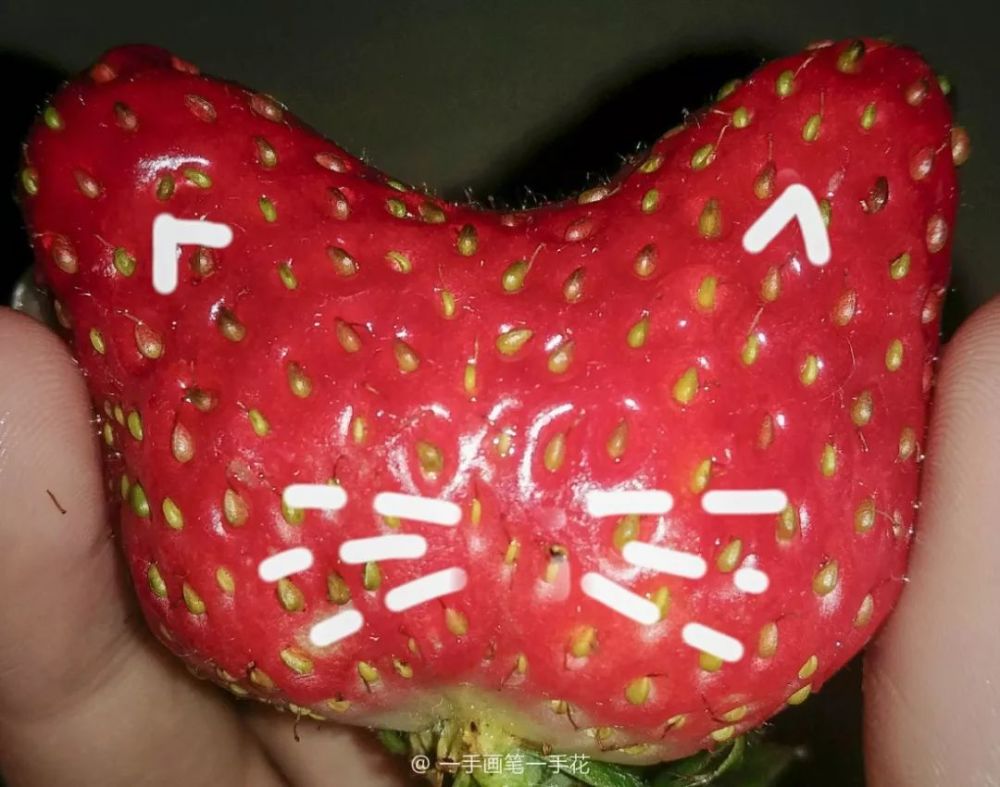 腾讯网
