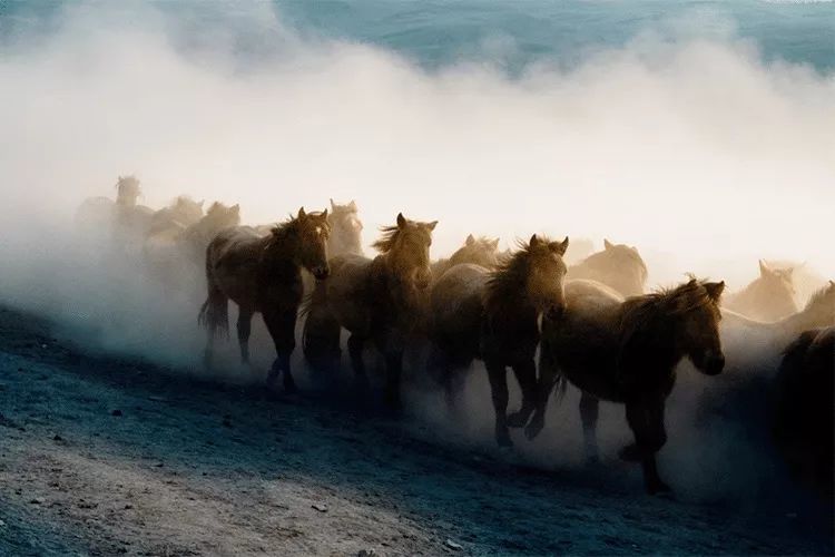 千万别跟甘肃人吃饭