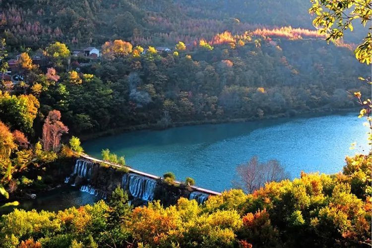 千万别跟甘肃人吃饭