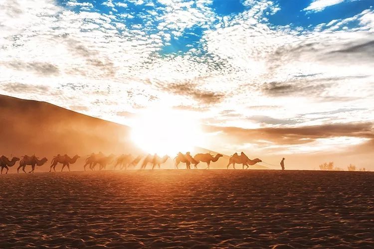 千万别跟甘肃人吃饭