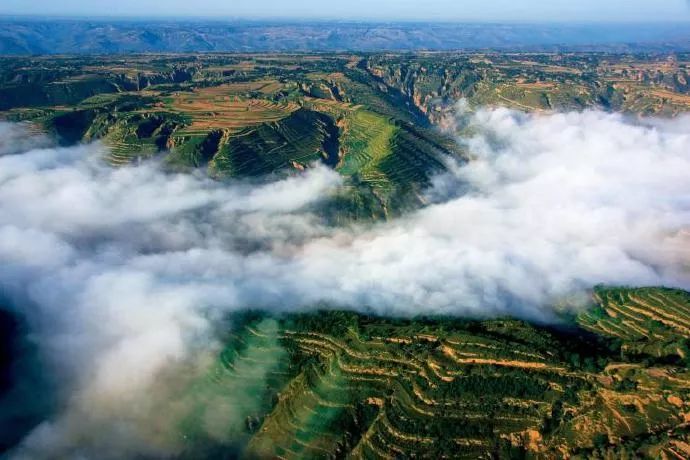千万别跟甘肃人吃饭