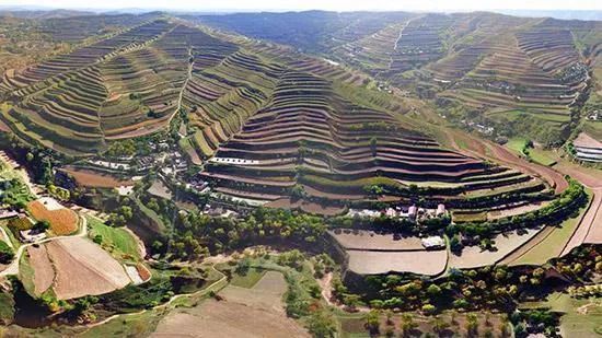 千万别跟甘肃人吃饭