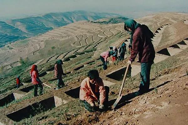 千万别跟甘肃人吃饭