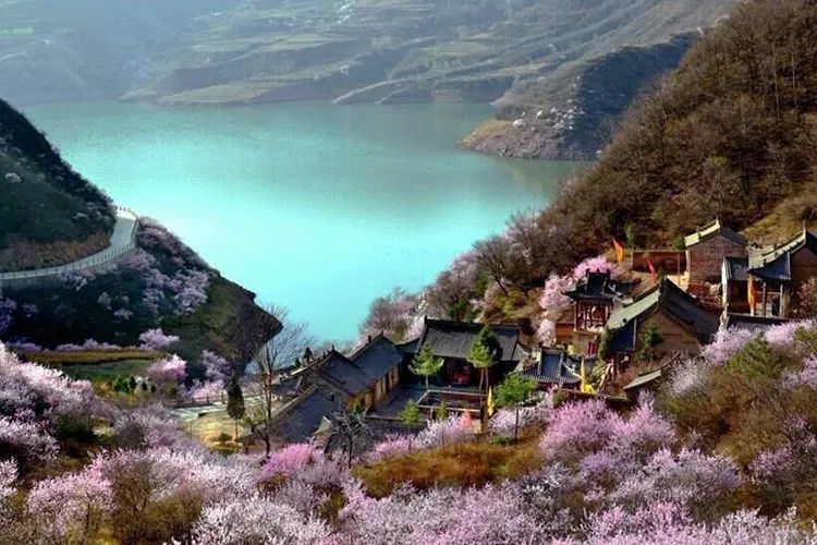 千万别跟甘肃人吃饭