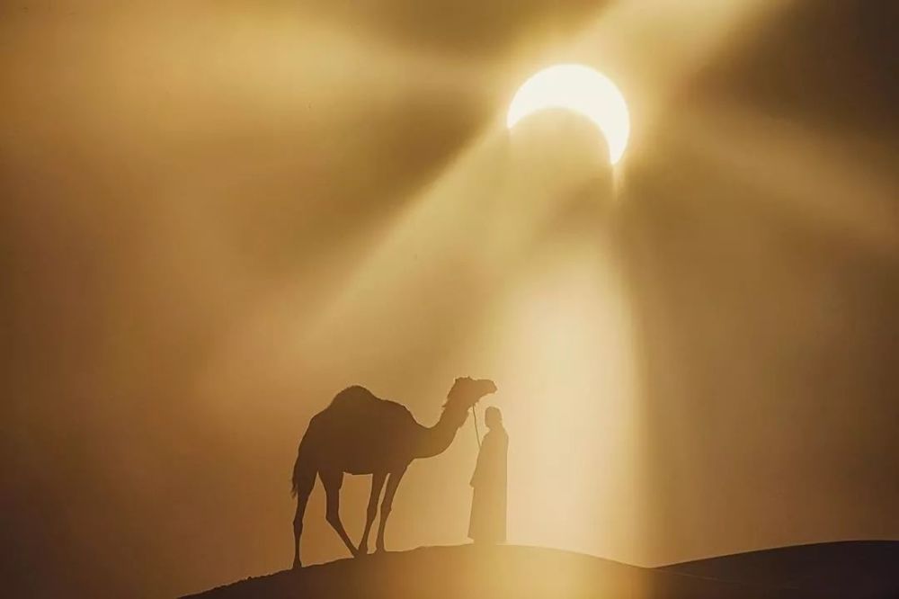 千万别跟甘肃人吃饭