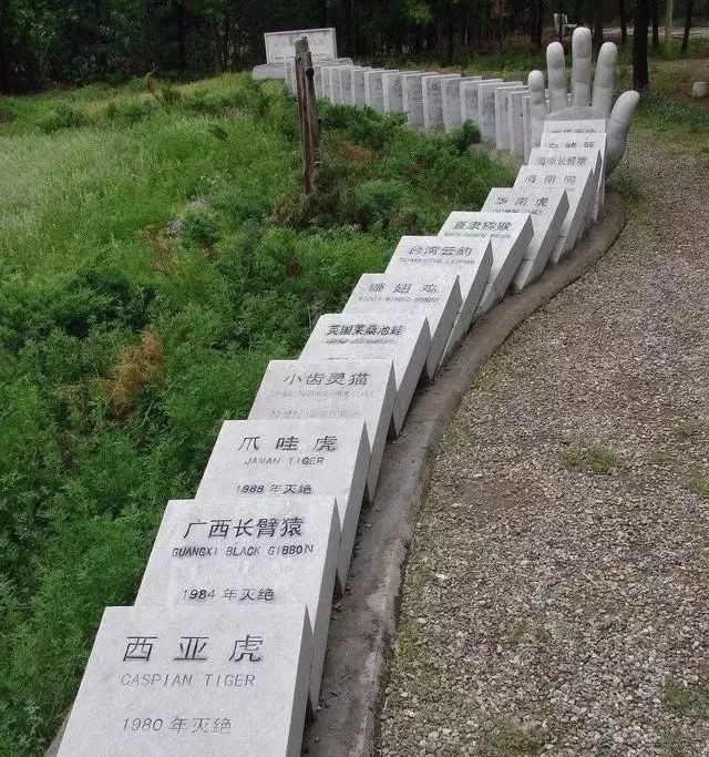 △ 北京-世界灭绝动物墓地