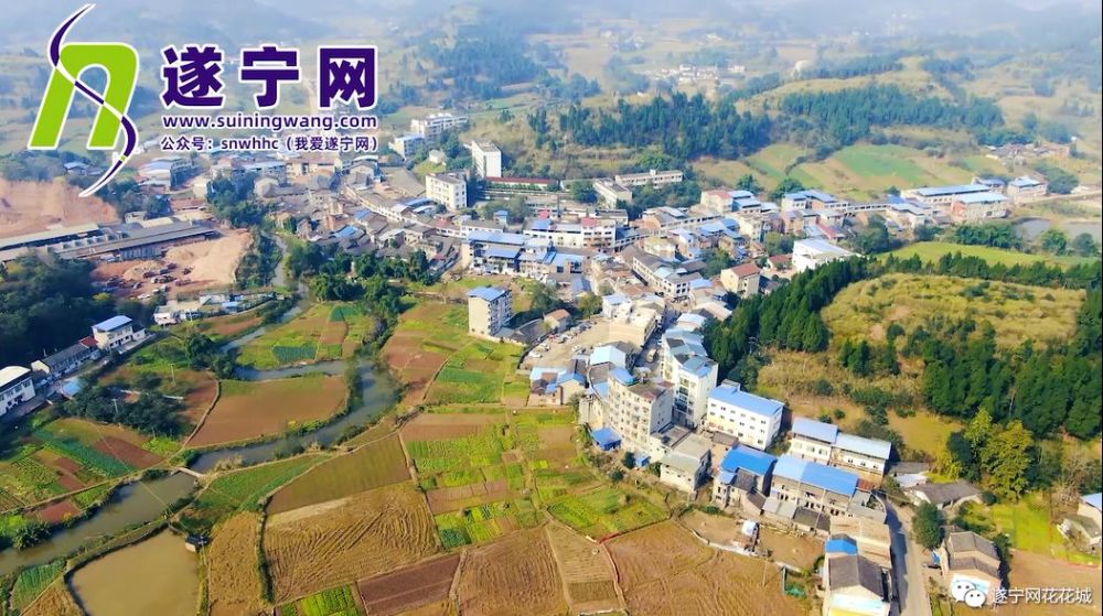 南马镇人口_南马镇张涌泉(3)