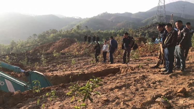 石场开发碎石沉淀产生淤泥影响村民用水?稔山镇发通报了