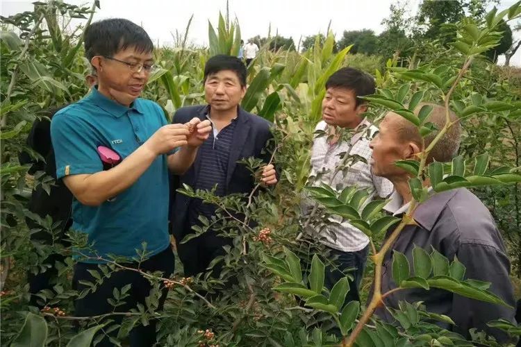 铜川市印台区人均GDP_铜川市印台区检察院