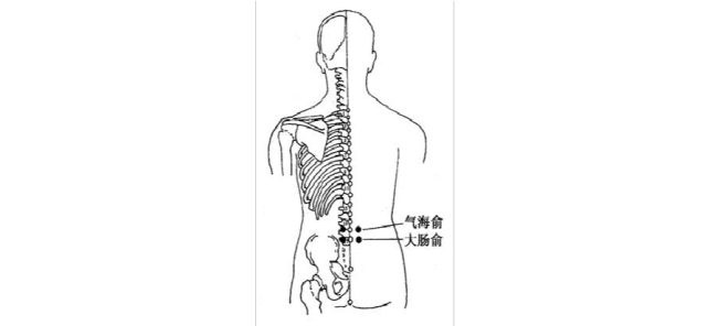 【穴位图】气海俞穴,调和气血,强壮腰脊