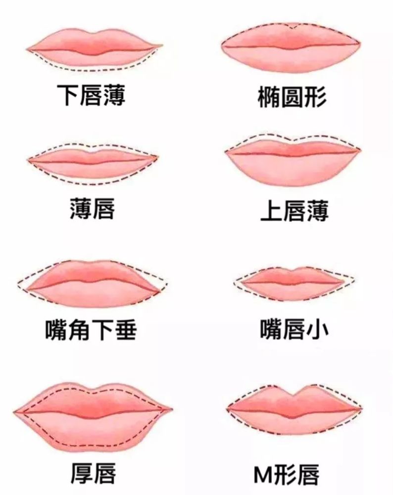 bg:先来看看标准唇形的比例,上唇和下唇的比例维持在 1:1.3-1.