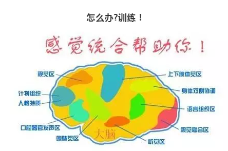 听觉系统失调,以及触觉系统失调,本体感觉失调又分为左右脑平衡失调和