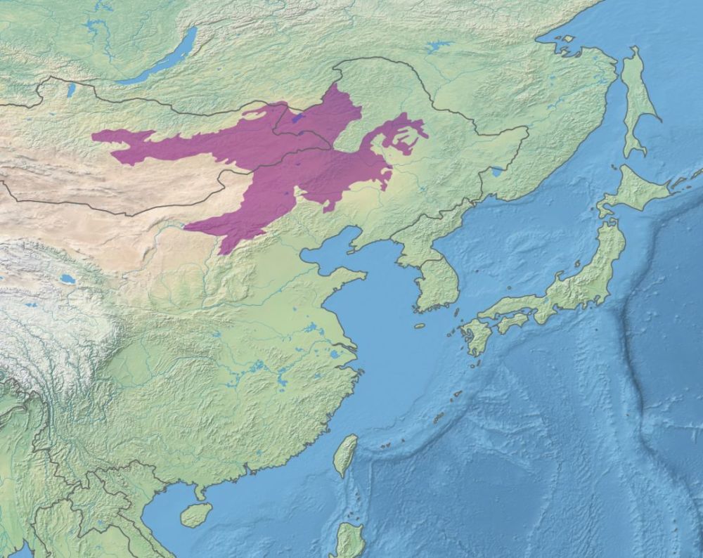蒙古包括内蒙古和外蒙古(即蒙古共和国,大致分为三个生态区:蒙古东部