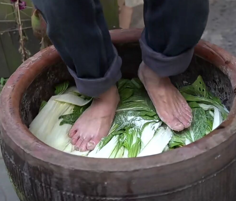 杭州有种腌菜,农民大爷用脚踩,据说脚越臭踩出来的菜越香