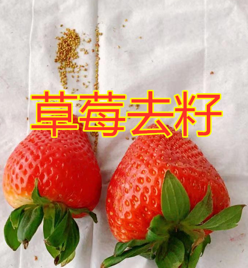火龙果,草莓去籽没啥,看到柚子