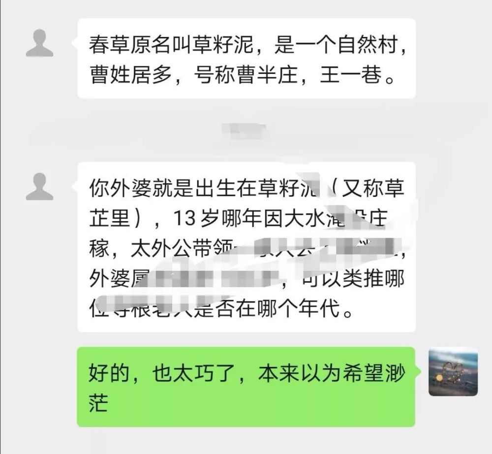 公安查询人口信息_人口信息查询表(3)