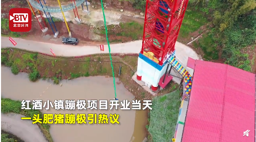 出社会以后-挂机方案ļǸô£ˣԭ挂机论坛(2)