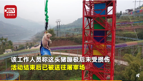 出社会以后-挂机方案ļǸô£ˣԭ挂机论坛(4)