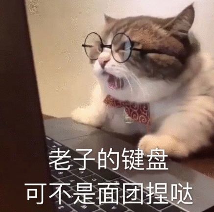 为了让大家骂人时不用自己敲字, 我搜集了一组猫咪骂人的表情包